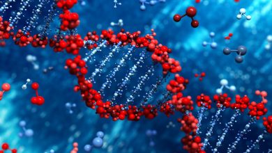 As Humanity Faces A Catastrophic Fertility Crisis, Scientists Are Creating “Synthetic Human DNA” From Scratch