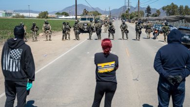 Trump grants ‘total authorization’ to ICE agents to protect themselves after violent California clashes