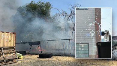 ‘Cowardly’ rioter threw rock, set fire to ICE sub-office in Washington state: DHS