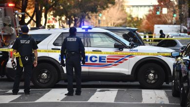 White House launches federal security blitz as president vows to end DC ‘crime plague’
