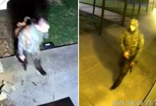 Quadruple murder suspect spotted wielding rifle as police issue lockdown alert