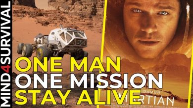 The Martian (2015) Movie Review: Survival  Lessons in Space