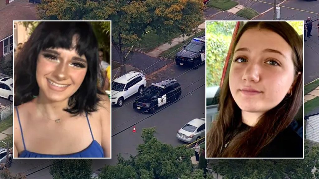 Alleged stalker detained then released after girls’ hit-and-run deaths, arrested days later: officials