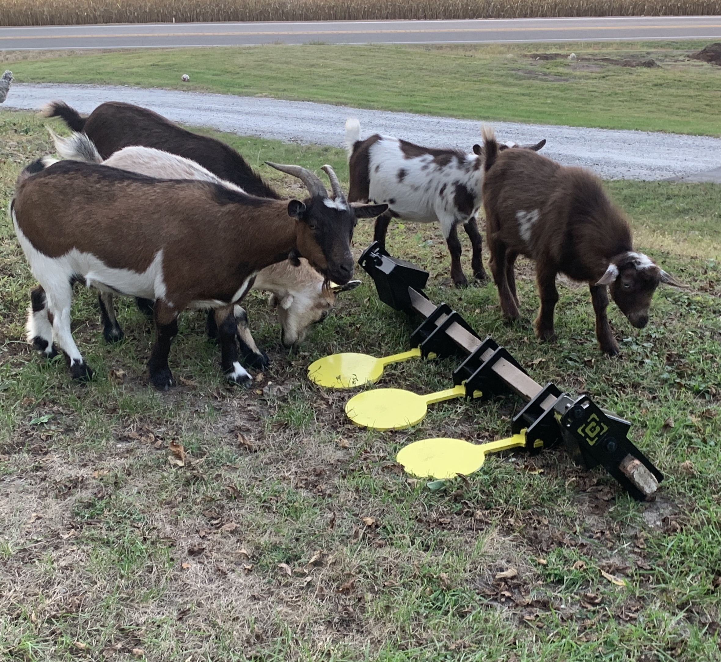 Caldwell-AR500-targets-7 Caldwell-AR500-targets-7