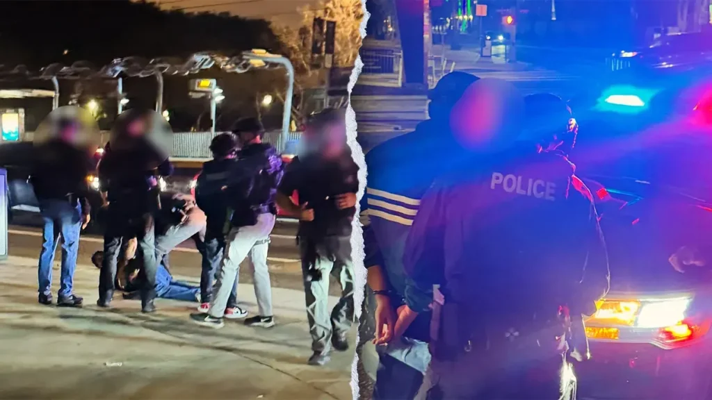 Nick Reiner handcuffed, arrested on camera Nick Reiner handcuffed, arrested on camera