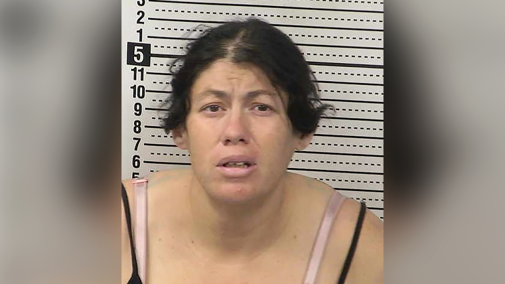 New Mexico mother accused of drowning newborn in portable toilet after giving birth New Mexico mother accused of drowning newborn in portable toilet after giving birth