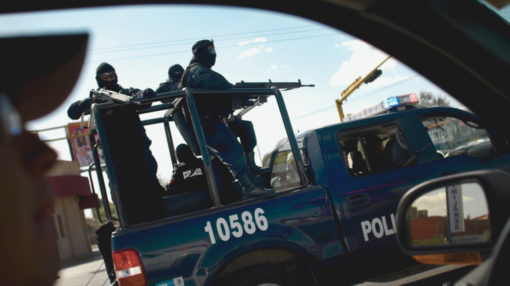 Kingpins fall, prices don’t: How cartels defy the rules of economics