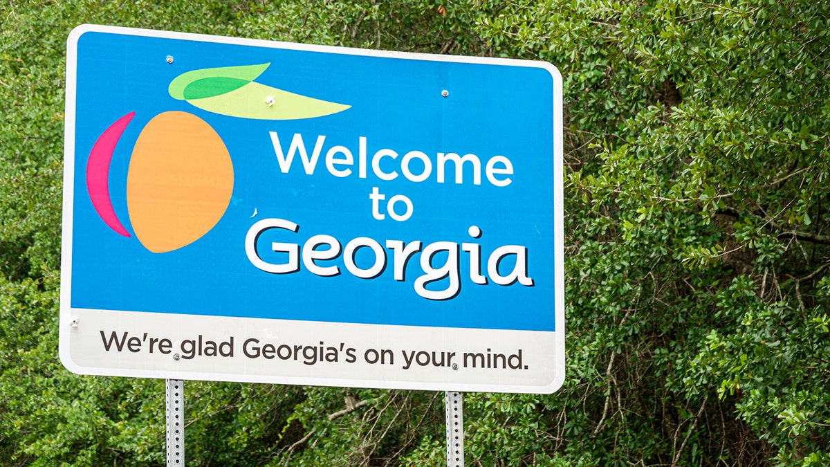Welcome to Georgia sign