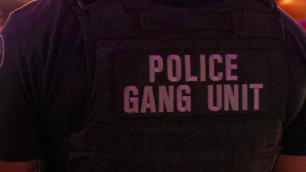 "POLICE GANG UNIT" sign on person's back