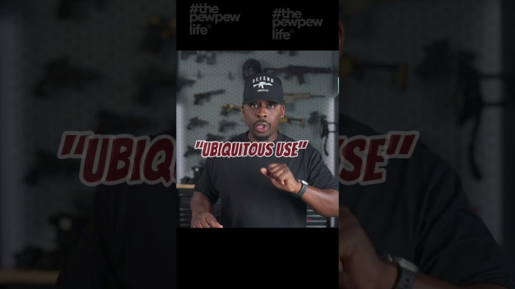 Government Says 10 Rounds is All You need To Survive, Court Rules The Magazine Ban Unconstitutional