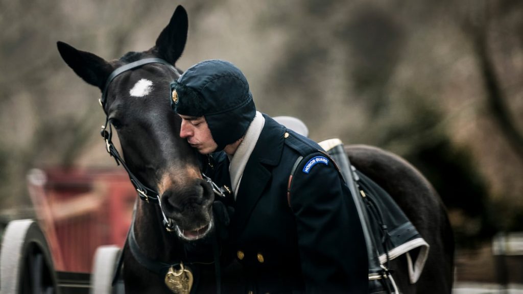The Army certifies its first equestrians as it revamps horse care The Army certifies its first equestrians as it revamps horse care
