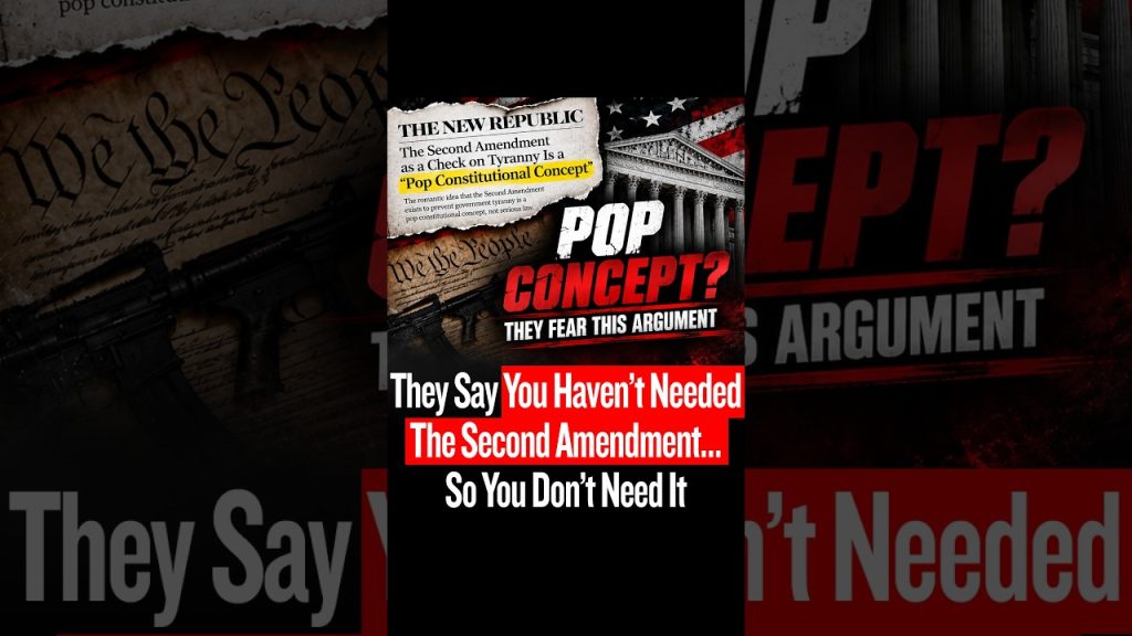 They Say You Haven’t Needed The Second Amendment… So You Don’t Need It
