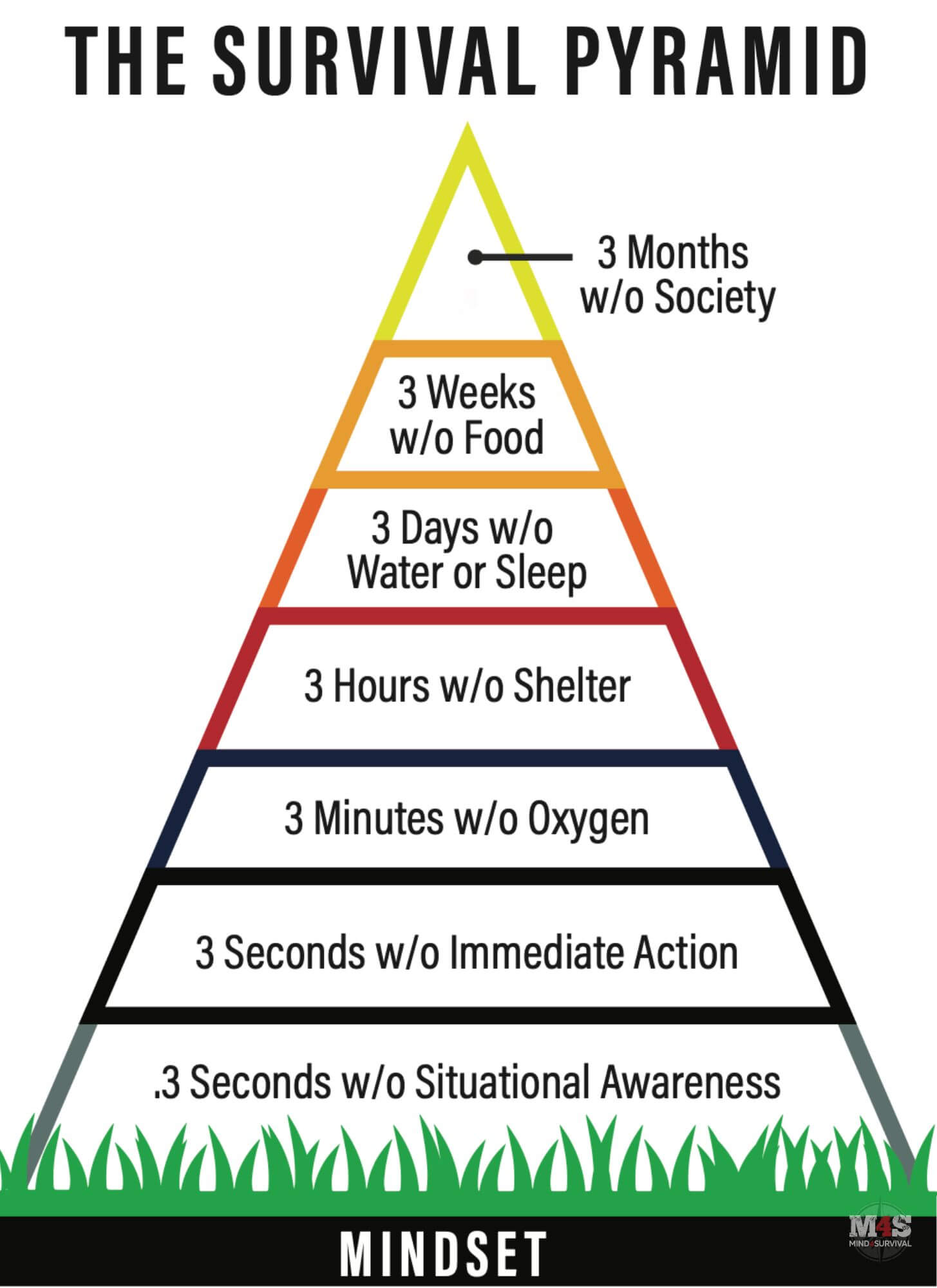 The Mind4Survival Factors of Success